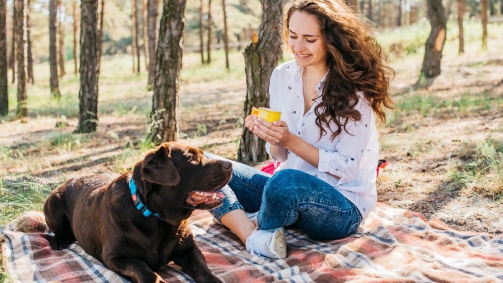 dog eating strawberry