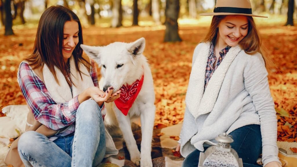 hunting dog breeds