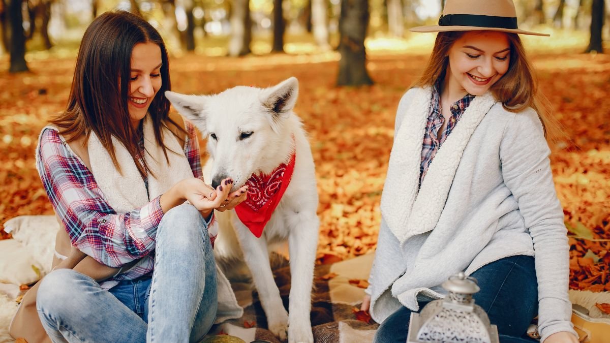 hunting dog breeds