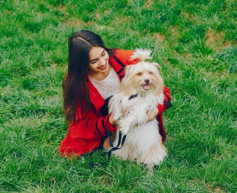 Girl sitting with a fluffy dog on grass