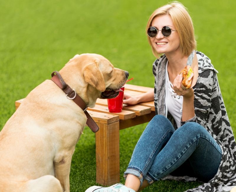 woman-with-labrador-dog