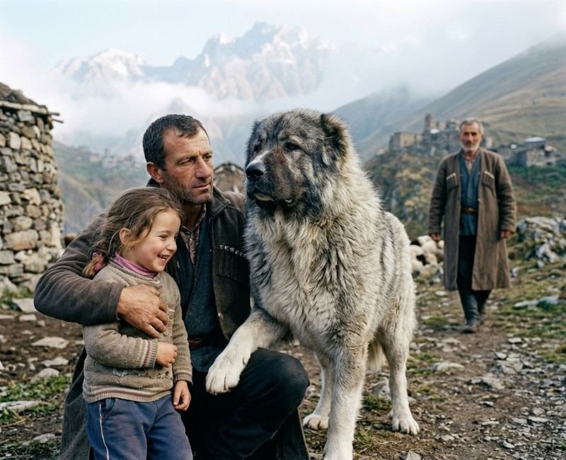 Caucasian Shepherd dog with its family and another man in mountains